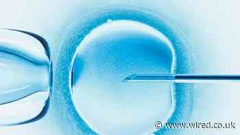 The Ramifications of Roe’s Fall Won’t Stop at Abortion Bans