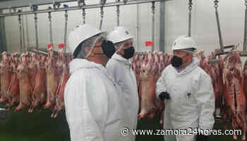 Zamora presenta buenos resultados empresariales hasta marzo y la recaudación sube un 8,4% - Zamora 24 Horas