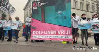 “Leeg het aquarium”: dierenrechtenorganisatie protesteert in Brussel tegen dolfinaria - Het Laatste Nieuws