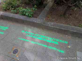 Gezien: Net Brussel spoort Brusselaars aan om vuilniszakken correct aan te bieden - BRUZZ