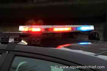 Man murdered at Vancouver park, says to Vancouver police - Squamish Chief