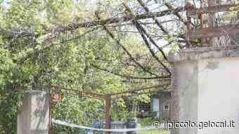 Boss della droga ucciso: il Dna lasciato dal killer - Il Piccolo