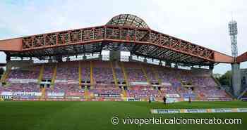 Blog: Il ritorno di Trieste nella massima serie? Perchè no? - vivoperlei.calciomercato.com