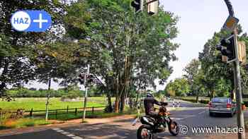 Sperrung in Hemmingen: Das Land lässt acht Linden an der Landesstraße 389 fällen - HAZ