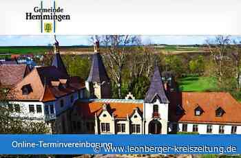 Digitalisierung in Hemmingen - Klicks ersparen den Behördengang - Leonberger Kreiszeitung
