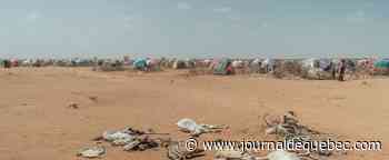 1 chance sur 2 que le seuil de +1,5°C soit dépassé dans les 5 ans