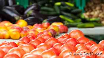 Farmers market vouchers are now available for seniors in Cumberland County - WPMT FOX 43