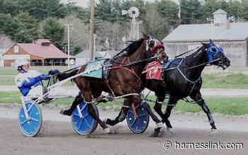 Cumberland Open Trot no problem for Ranger - Harnesslink