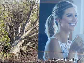 'We can have homes and trees' - The Kingston Whig-Standard