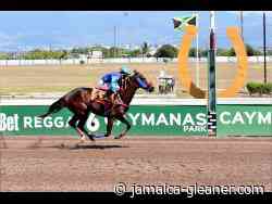 Blue Vinyl rules Kingston | Sports - Jamaica Gleaner