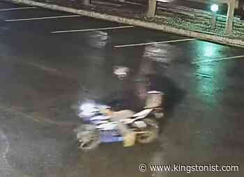 Kingston Police seek public assistance to identify catalytic converter thief - Kingstonist