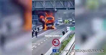 A14, pullman Flixbus prende fuoco in autostrada a Canosa di Puglia: i passeggeri fuggono lungo la carreggiata… - Il Fatto Quotidiano