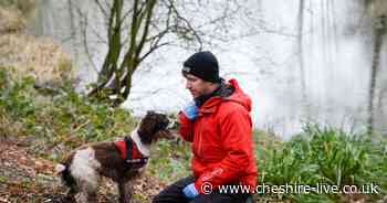 Behind the scenes with police training dogs in Dunham Massey - Cheshire Live