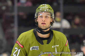 OHL overage player of the year honours for Brandon Coe - My North Bay Now