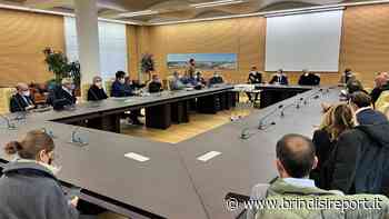 Malattie del fegato e nuove terapie: congresso a Brindisi tra i migliori epatologi d’Italia - BrindisiReport