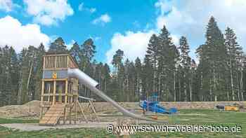 Aktionstag für Europa - Leader-Geschäftsstelle ruft zu Projektteilnahme auf - Schwarzwälder Bote