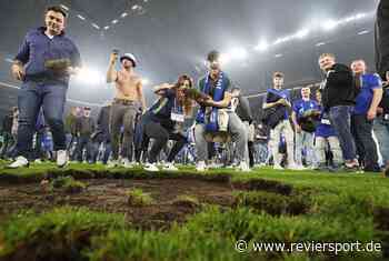 Schalke: Fans plündern Spielfeld und verkaufen Rasen im Internet - RevierSport