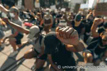 'Ripple in a pond': DEI and justice work at universities just beginning | - University Business