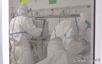 AGGIORNAMENTO COVID: 2095 CASI IN REGIONE. A MODENA 374 POSITIVI - Tvqui