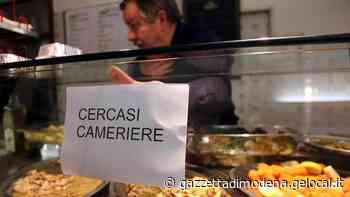 Modena. La denuncia: «C'è chi chiede di lavorare in nero per salvare il reddito di cittadinanza» - La Gazzetta di Modena