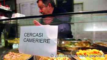 Modena, «Nella ristorazione boom di lavoro grigio» - La Gazzetta di Modena