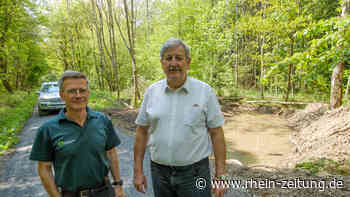 Hochwasserschutz: Wald in Cond soll mehr Wasser speichern - Rhein-Zeitung