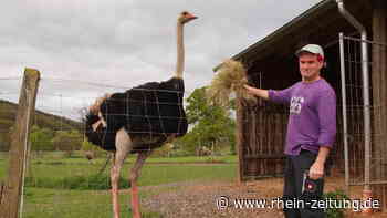 Comedian und Straßenkünstler: Was macht eigentlich Christoph Engels aus Kröv? - Rhein-Zeitung