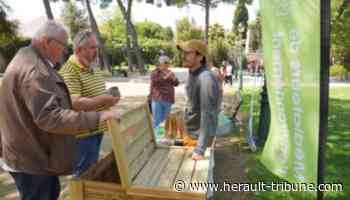 Frontignan : retour sur la Journée mondiale de la Terre - Hérault Tribune - Hérault Tribune