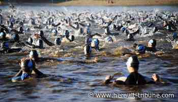 Frontignan : nage en eau libre, 2è édition de la Traversée - Hérault Tribune - Hérault Tribune