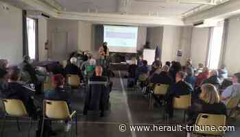 Frontignan : les nouvelles instances de la démocratie participative installées - Hérault Tribune - Hérault Tribune