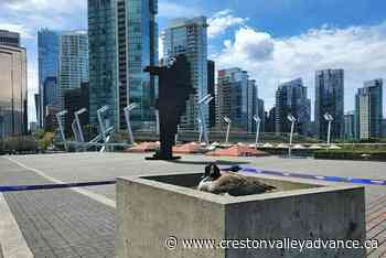Mother goose nests safely outside Vancouver Convention Centre on Mother’s Day - Creston Valley Advance