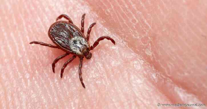 10 Million Americans May Have Bizarre Disease Making Them Allergic to Meat - You May Not Realize You Have It