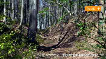 Landkreis Augsburg: Naturpark Westliche Wälder: "Leute lechzen danach, in die Natur zu kommen" | Augsburger Allgemeine - Augsburger Allgemeine