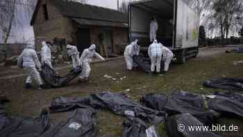 Kriegsverbrechen: Deutsche Kriminalisten in die Ukraine geschickt - Politik Inland - Bild.de - BILD