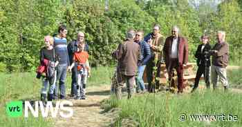 Primeur voor Oudenaarde: nieuw "demobos" dient als showroom voor wie zelf een bos wil aanplanten - VRT NWS