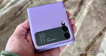 Best Samsung Galaxy Z Flip 3 Cases     - CNET
