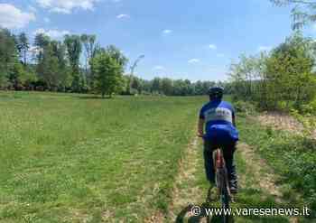 Da Ispra a Sesto Calende in bici - varesenews.it