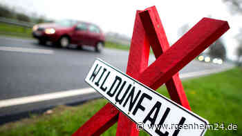 Flintsbacher (19) will Fuchs ausweichen – und überschlägt sich mit Auto