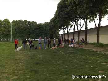 A Trecate un successo per il primo evento Dog Friendly - varesepress.info