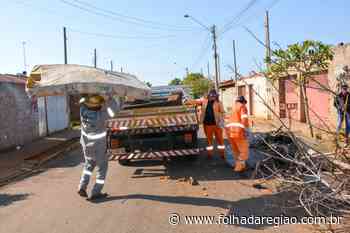 Prefeitura de Birigui retira mais de 320 toneladas de entulho durante ação no Margareth Vargas - Folha da Região