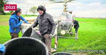 Trebur: Bazillus tötet Schnakenlarve - Echo Online