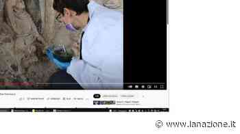 Quell’opera è di Donatello? Esperti divisi Prato si interroga sull’eredità del maestro - LA NAZIONE