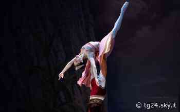 Jacopo Tissi, Marianela Nuñez e non solo: all’Opera di Roma parata di star per Il Corsaro - Sky Tg24