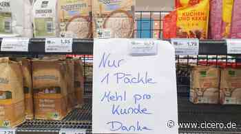 Deutschland in der Krise - Kann dieses Polit-Personal ein Multiorganversagen des Landes abwenden? - Cicero Online