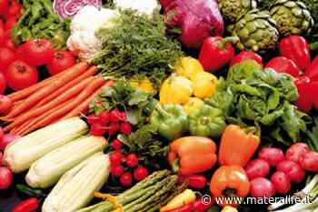 Basilicata: buoni risultati per l'export alimentare - MateraLife