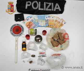 A Matera in un locale ha quasi 400 gr di eroina: arrestato - Basilicata - Agenzia ANSA