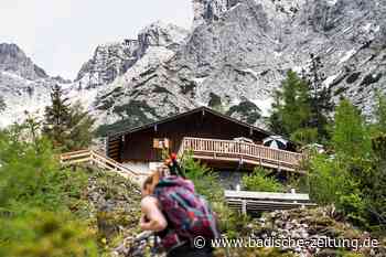 Deutschlands Alpen wachsen mit Wäldern zu - Panorama - Badische Zeitung