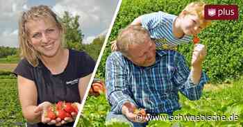Lindau: Preise bei Erdbeeren steigen nicht an - Schwäbische