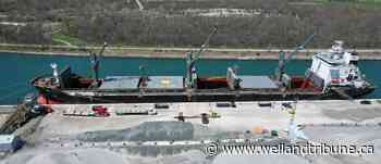 Port Colborne officials talk provincial marine strategy during roundtable discussions - Welland Tribune