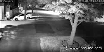 WATCH: Arson suspect appears to start garage fire at Hamilton home | inTheHammer - insauga.com